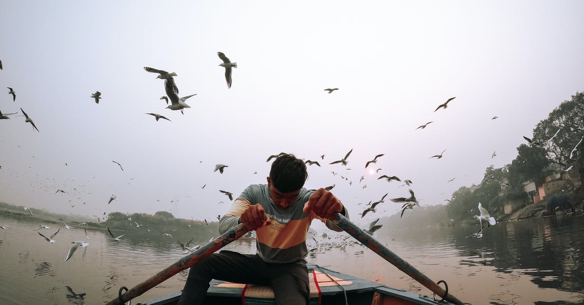 Do animals regenerate health? - Man in Red Shirt Riding on Brown Boat