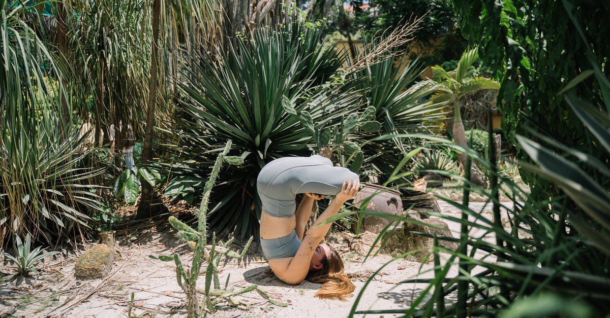 Do anomalies spawn at predefined positions or are they completely random? - A Woman Practising Yoga in a Garden Do anomalies spawn at predefined positions or are they completely random? - A Woman Practising Yoga in a Garden