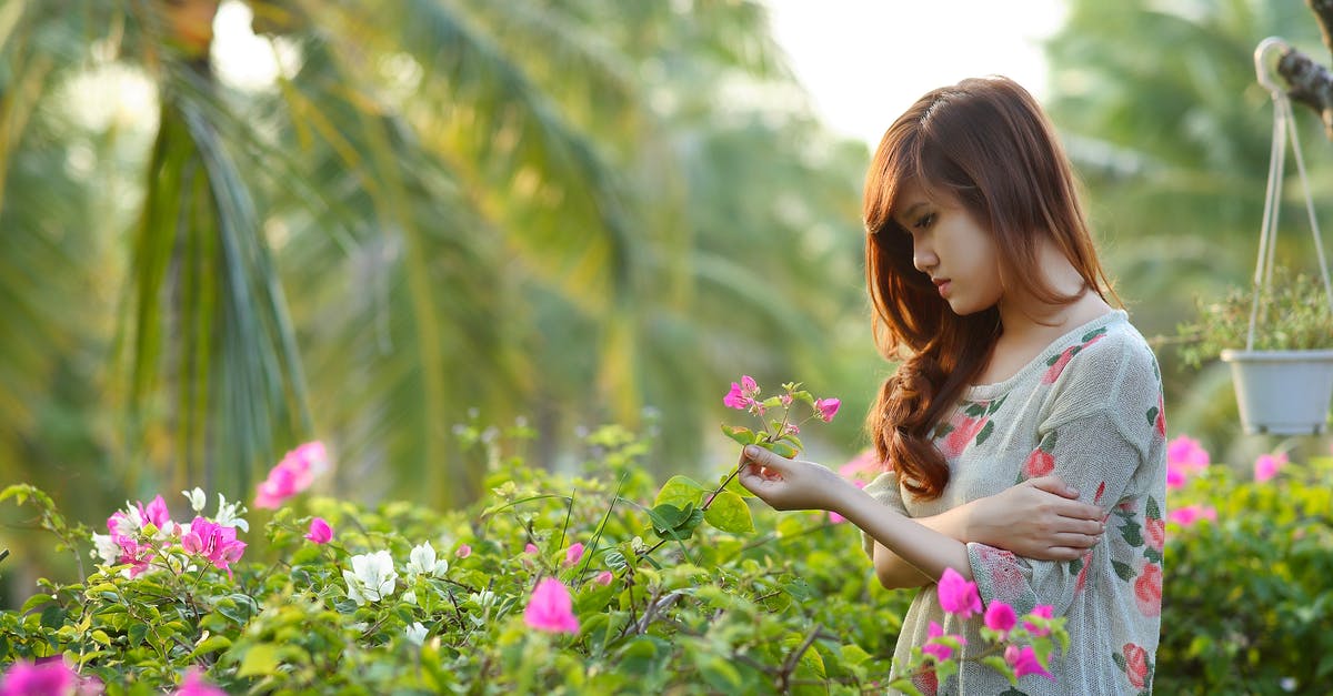 Do bees think it's summer underground? - Woman Wearing White, Pink, and Green Floral Dress Holding Pink Bougainvillea Flowers Do bees think it's summer underground? - Woman Wearing White, Pink, and Green Floral Dress Holding Pink Bougainvillea Flowers