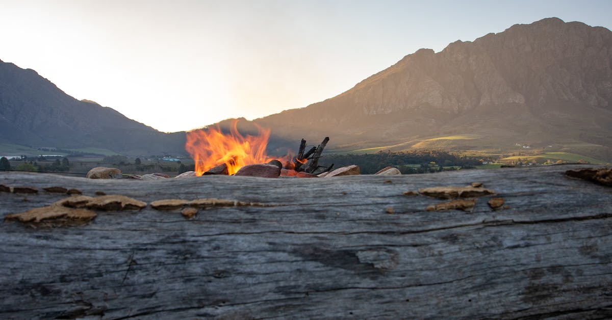 Do bonfire ascetics cause the respawn of more bonfire ascetics and can I farm them in this manner? - Brown Wood Log on Sea Shore Do bonfire ascetics cause the respawn of more bonfire ascetics and can I farm them in this manner? - Brown Wood Log on Sea Shore