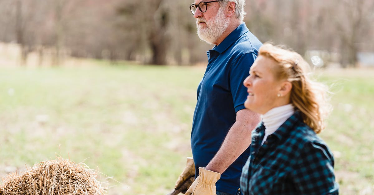 Do carry capacity modifiers work on companions? - Serious mature couple in countryside