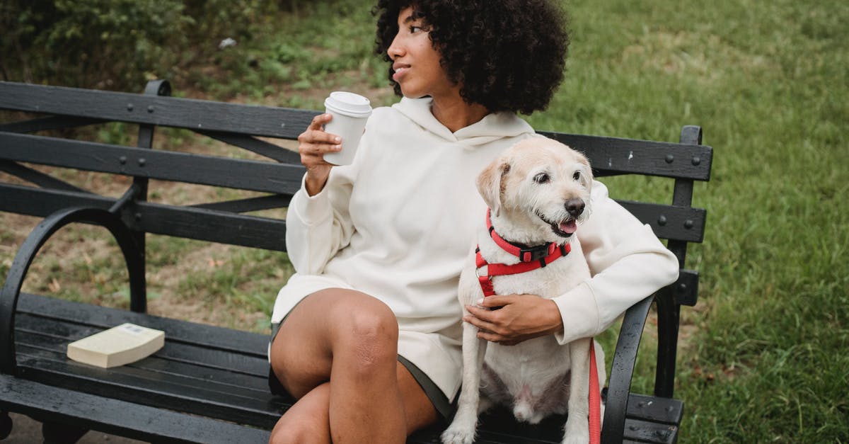Do Chandra's lvl 3 abilities cost more loyalty than her lvl 2 abilities? - Woman and her Dog Sitting on Bench 