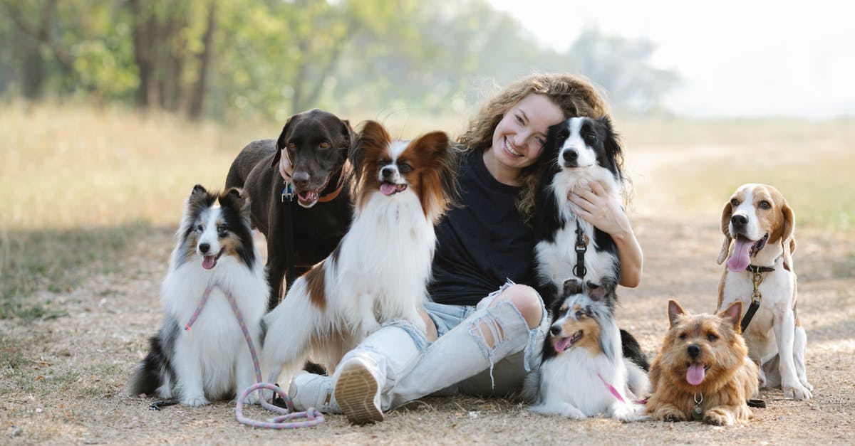 Do citizens want different kind of parks? - Gentle smiling woman embracing purebred dogs while sitting on ground Do citizens want different kind of parks? - Gentle smiling woman embracing purebred dogs while sitting on ground