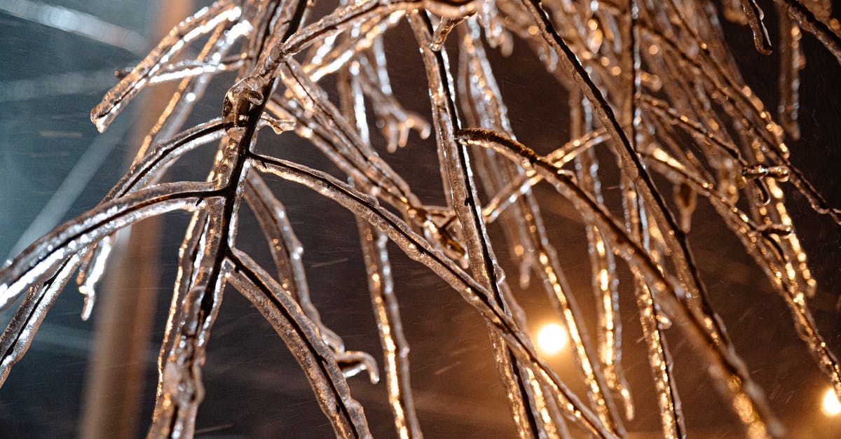 Do Corruption/Crimson/Hallowed Mimics Spawn in Ice Biomes? - Free stock photo of abstract, christmas, cold Do Corruption/Crimson/Hallowed Mimics Spawn in Ice Biomes? - Free stock photo of abstract, christmas, cold