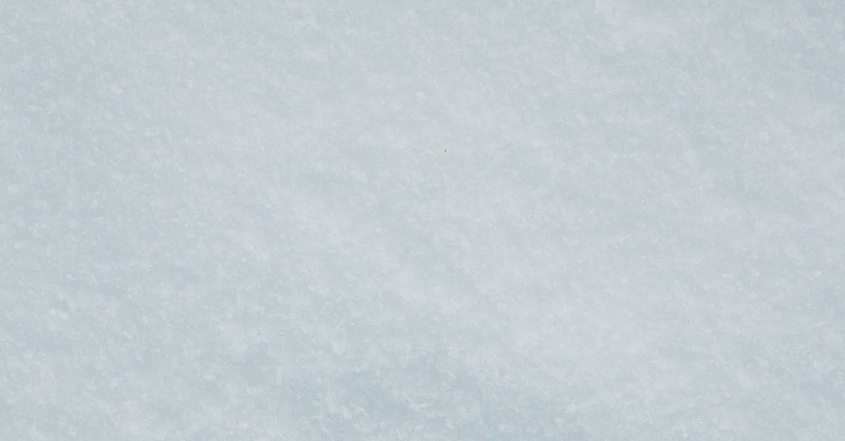 Do Corruption/Crimson/Hallowed Mimics Spawn in Ice Biomes? - Texture of Snow Do Corruption/Crimson/Hallowed Mimics Spawn in Ice Biomes? - Texture of Snow