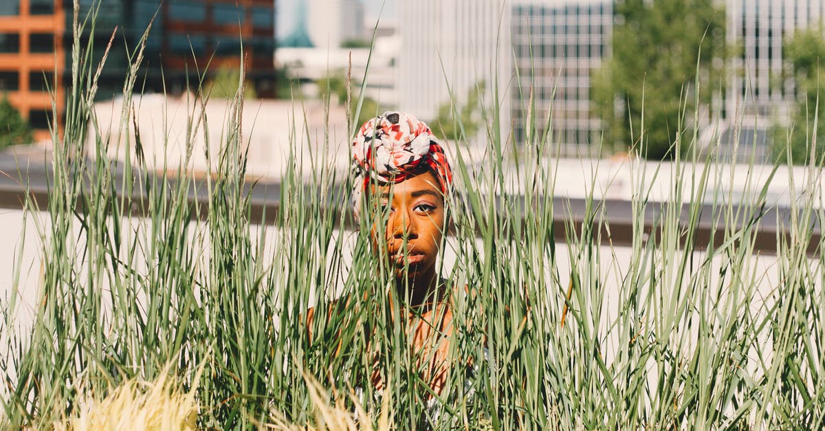 Do critical hits exist outside of V.A.T.S. and sneaking? - Photo Of Woman Sneaking Near Grass