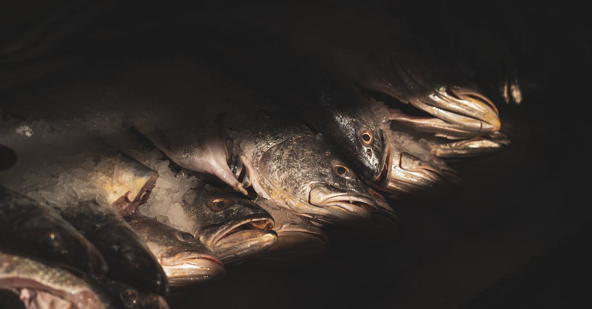 Do dead dwellers require food and water? - Sunlit Stacked Dead Fish in Darkness Do dead dwellers require food and water? - Sunlit Stacked Dead Fish in Darkness
