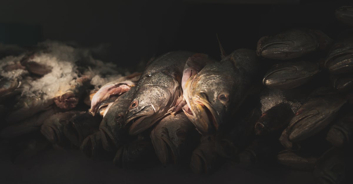 Do dead dwellers require food and water? - Close up on Stacked Dead Fish Do dead dwellers require food and water? - Close up on Stacked Dead Fish