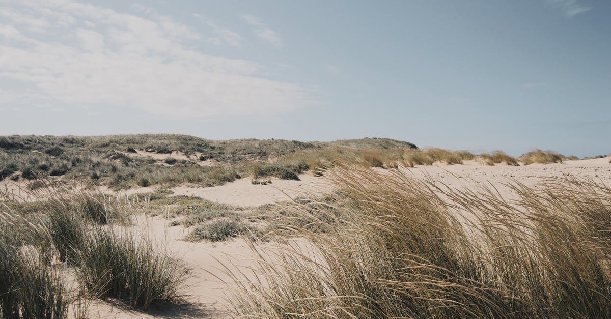 Do dwellers heal in the wasteland in Fallout Shelter? - Brown Grass Field Under Blue Sky