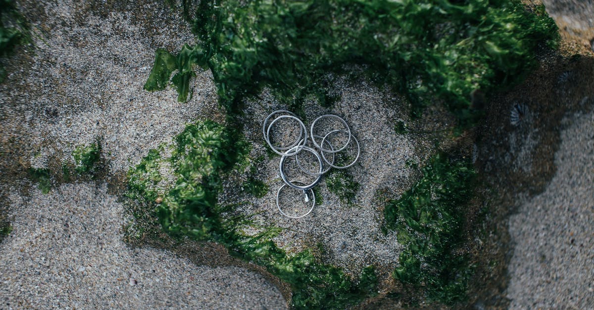 Do Giant rings EVER respawn? - Green Moss on Gray Concrete Wall Do Giant rings EVER respawn? - Green Moss on Gray Concrete Wall