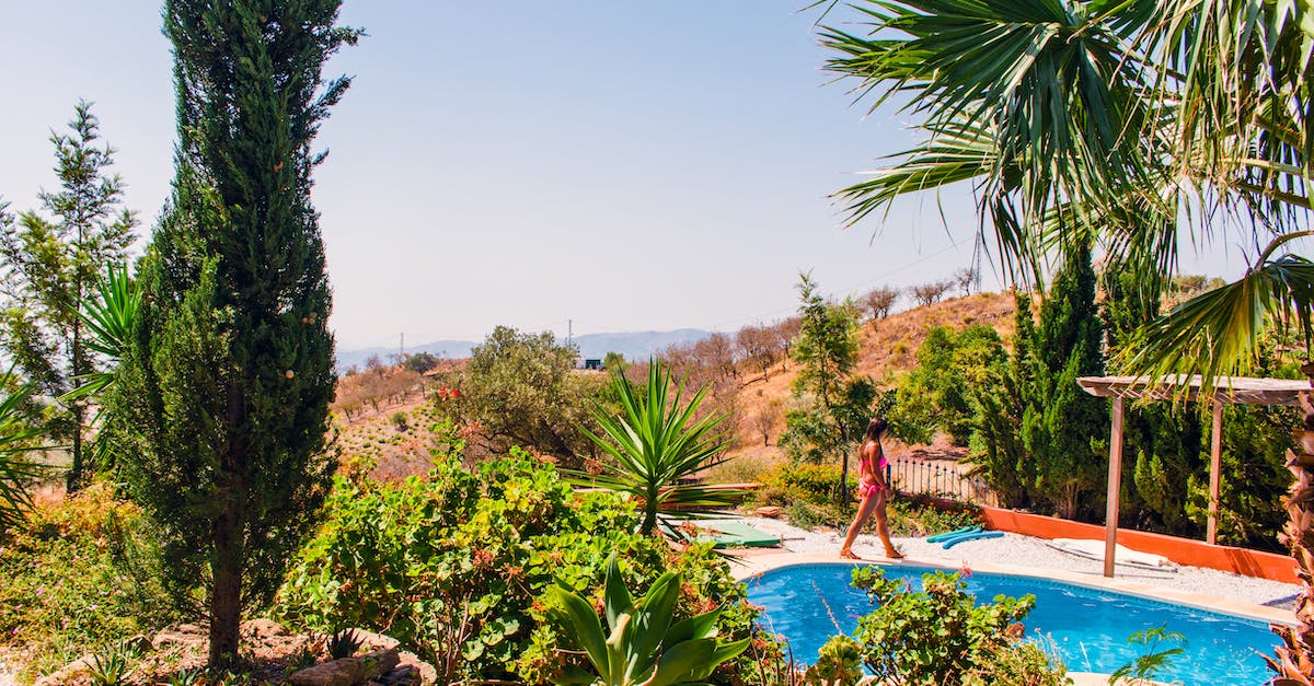 Do higher levels have a larger view distance - Girl Walking Near Swimming Poolk Do higher levels have a larger view distance - Girl Walking Near Swimming Poolk