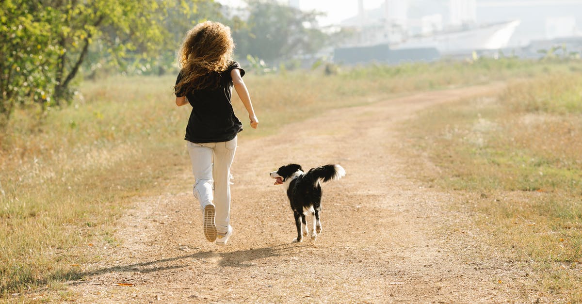 Do I ever run out of new recruits? - Unrecognizable sportswoman running with Border Collie on path in park