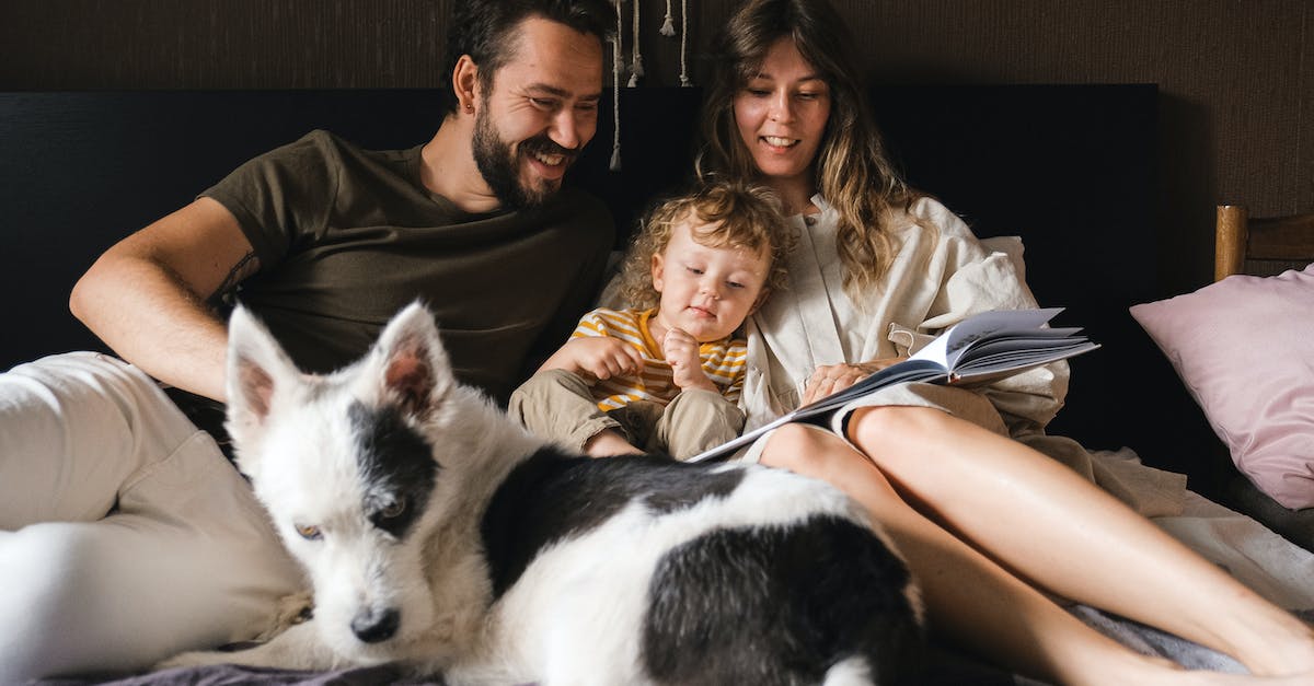 Do I gain fame when my pet kills mini-bosses? - Man and Woman Sitting on Brown Sofa Beside White and Black Short Coat Small Dog