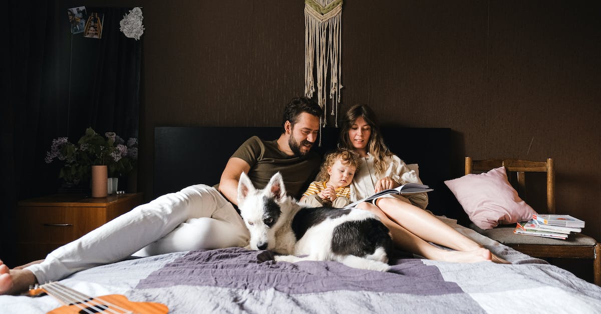 Do I gain fame when my pet kills mini-bosses? - Woman in Brown Long Sleeve Shirt and White Pants Lying on Bed Beside Black and White