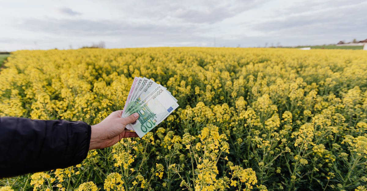 Do I get a refund for parts that land on rails? - Crop man with paper banknotes on blooming meadow