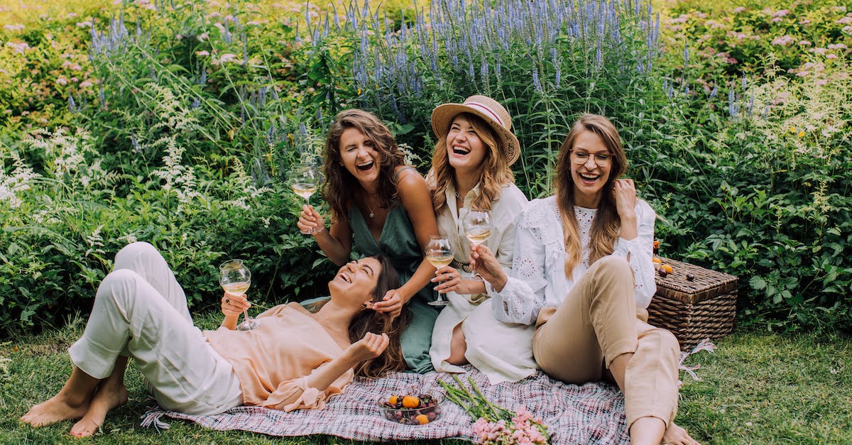 Do I have to have friends to sell my things? - Women Sitting on Green Grass Field
