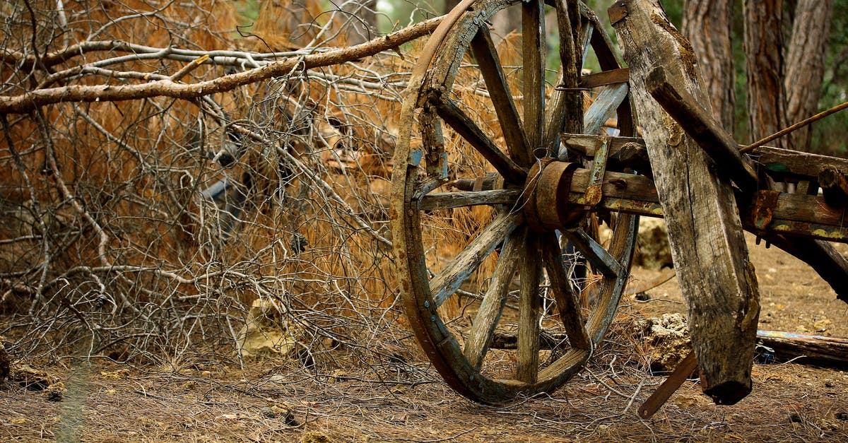 Do I need to complete Bleak Falls Barrow to buy land in Falkreath? - Brown Carriage Wheel Do I need to complete Bleak Falls Barrow to buy land in Falkreath? - Brown Carriage Wheel