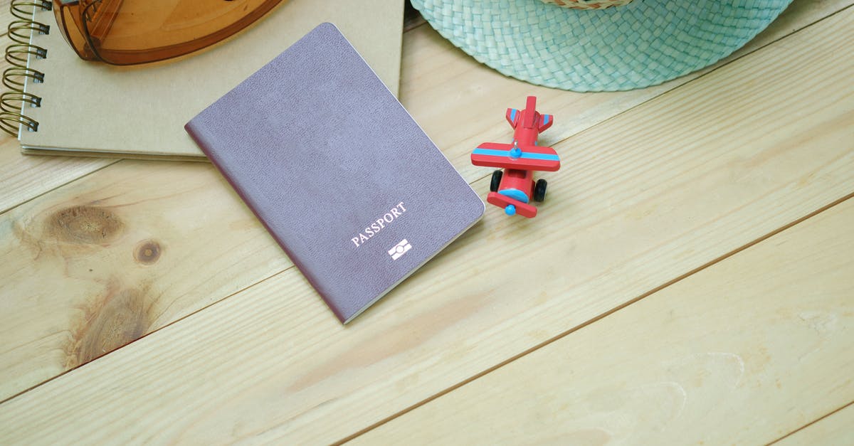 Do Items level up with you? - Gray Passport on Brown Board Beside Red Plane Toy