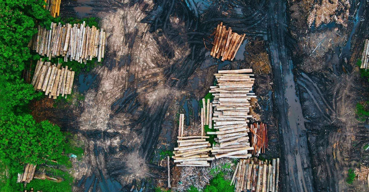 Do luxury booster from the same resource stack? - Aerial view of log trunks piles recently cut stored on dirty wet ground between rural road and green forest trees in daylight Do luxury booster from the same resource stack? - Aerial view of log trunks piles recently cut stored on dirty wet ground between rural road and green forest trees in daylight