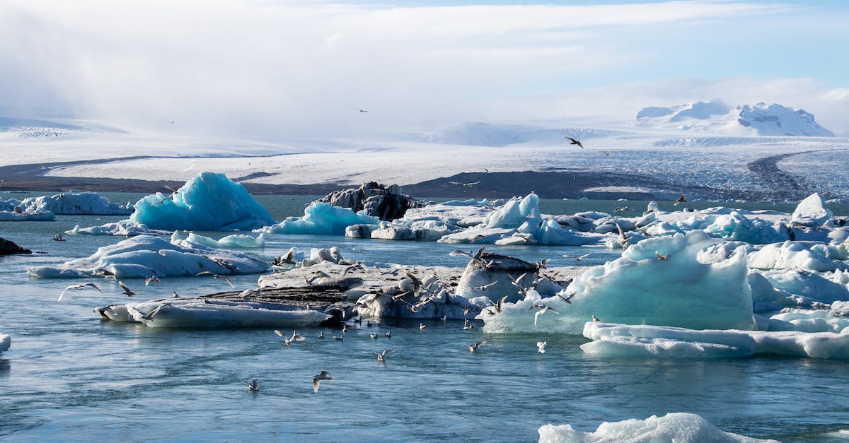 Do mini glaciers reappear on the same spots in the next winter? - Birds on Ice Bergs