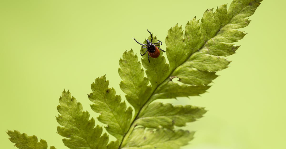 Do Moltres and Articuno exist in Pokemon Leaf Green? - Black and Red Ladybug on Green Leaf Do Moltres and Articuno exist in Pokemon Leaf Green? - Black and Red Ladybug on Green Leaf