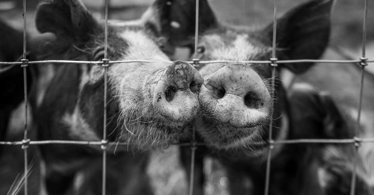 Do my animals need fences? - 