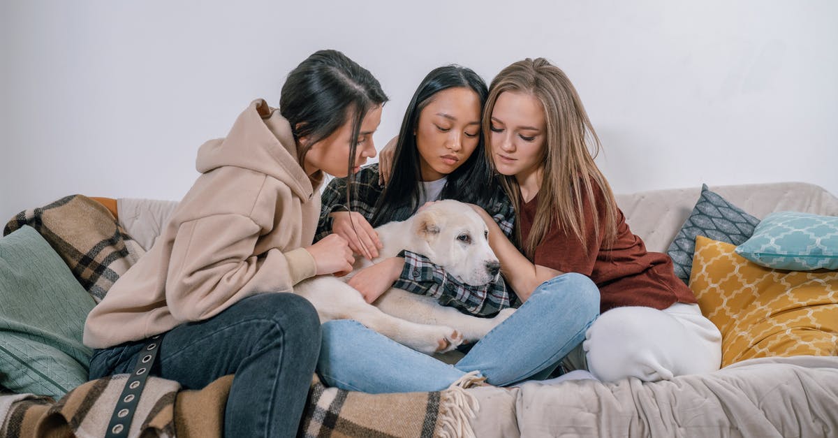 Do my troops recover fully after each battle? - A Group of Women Embracing Do my troops recover fully after each battle? - A Group of Women Embracing
