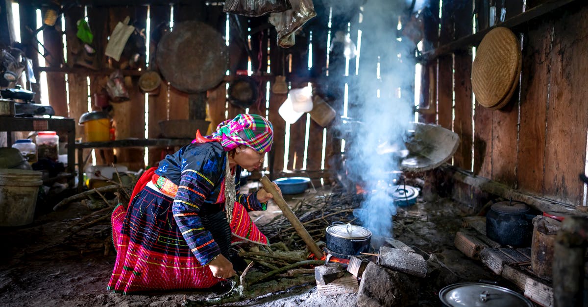 Do non-Kanto Pokemon evolve before getting the National Dex in a randomised Fire Red? - Focused woman cooking on fire