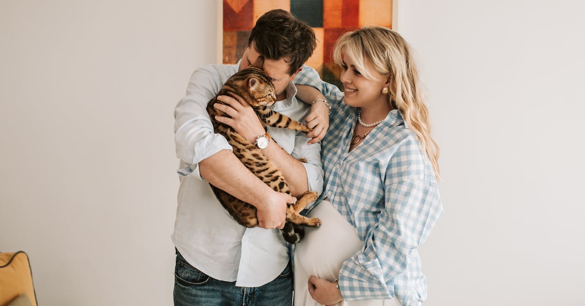 Do paragon levels affect the difficulty of enemies? - Pregnant Woman leaning on Man While carrying Pet Cat 