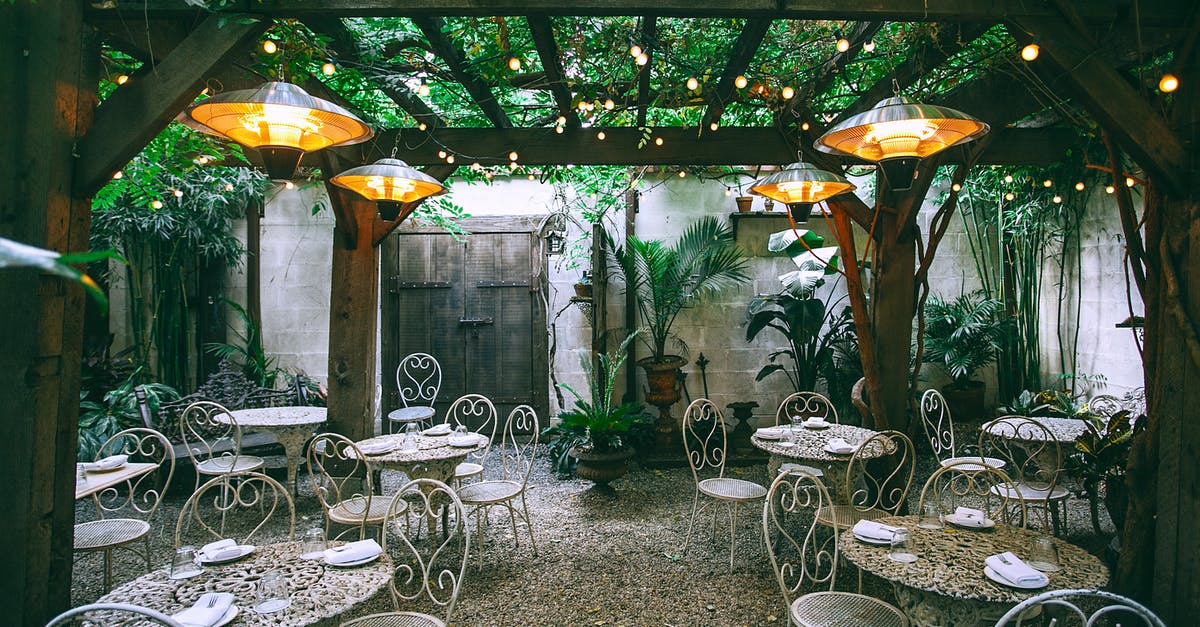 Do plants grow while I'm in another world? - Cafe with setting on ornamental tables near chairs under decorative lamps in backyard on summer day