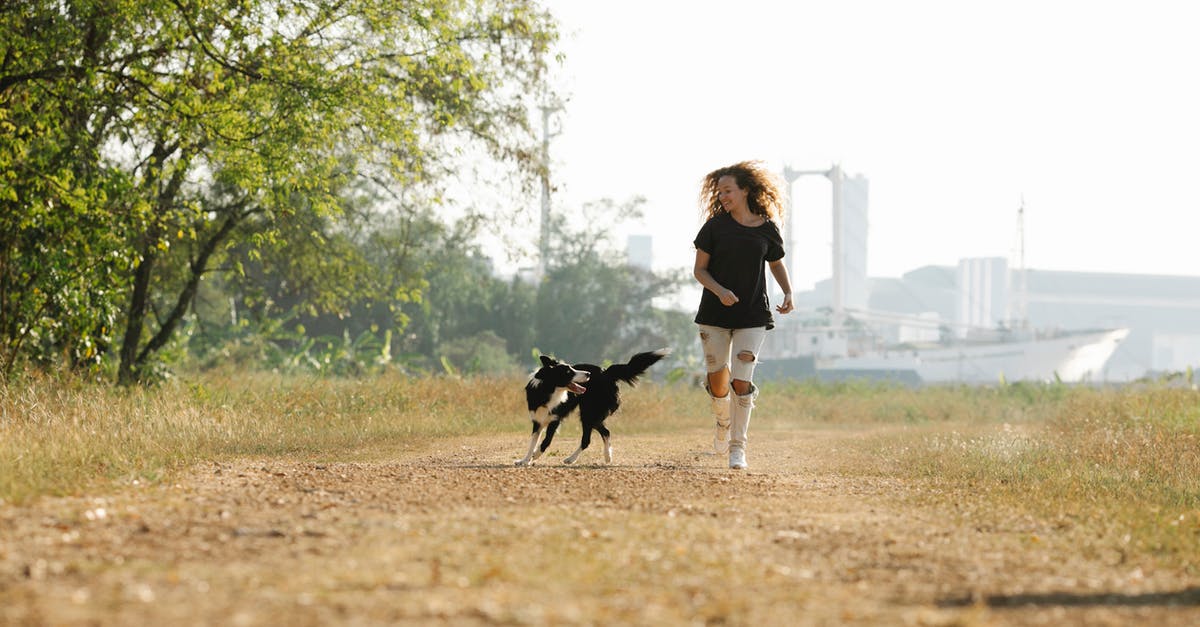 Do players that run into each other share Atlas paths? - Cheerful woman running with Collie dog in nature