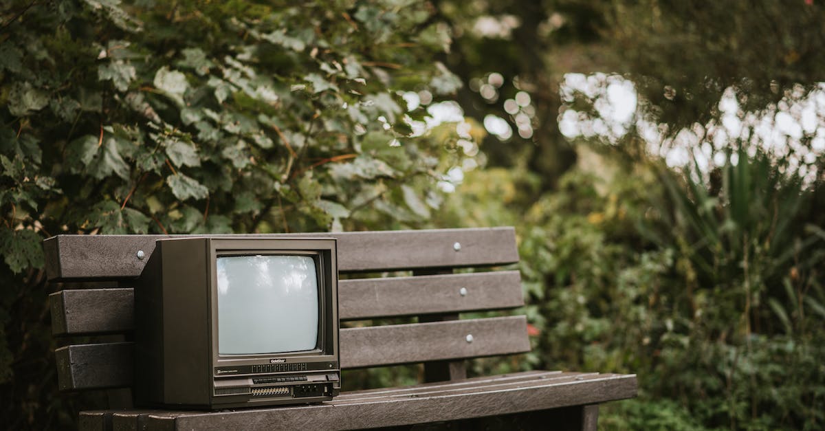 Do Pokemon Fire Red/Leaf Green use the new or the old EV/IV calculations? - Small black television placed on bench near deciduous green plants with lush foliage in countryside on blurred background in nature