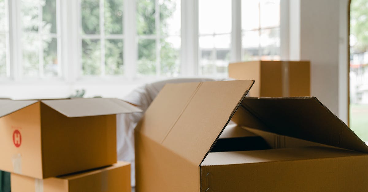 Do Pokemon forget a move when changing form? - Unpacked boxes in middle of room Do Pokemon forget a move when changing form? - Unpacked boxes in middle of room