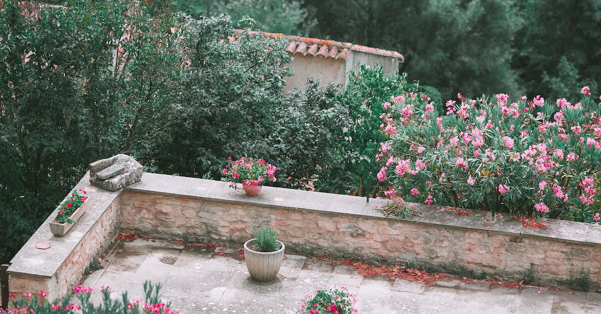 Do potted flowers count towards beehives or just planted ones? - High angle of stone building with potted plants and blooming bushes growing in yard Do potted flowers count towards beehives or just planted ones? - High angle of stone building with potted plants and blooming bushes growing in yard