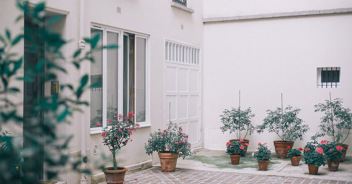 Do potted flowers count towards beehives or just planted ones? - House decorated with potted flowers and plants Do potted flowers count towards beehives or just planted ones? - House decorated with potted flowers and plants