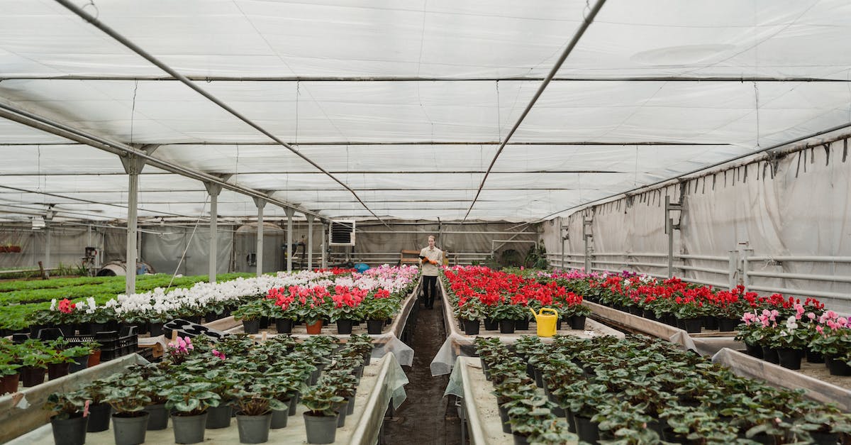 Do potted flowers count towards beehives or just planted ones? - Man Standing Near Flowering Plants in a Greenhouse Do potted flowers count towards beehives or just planted ones? - Man Standing Near Flowering Plants in a Greenhouse