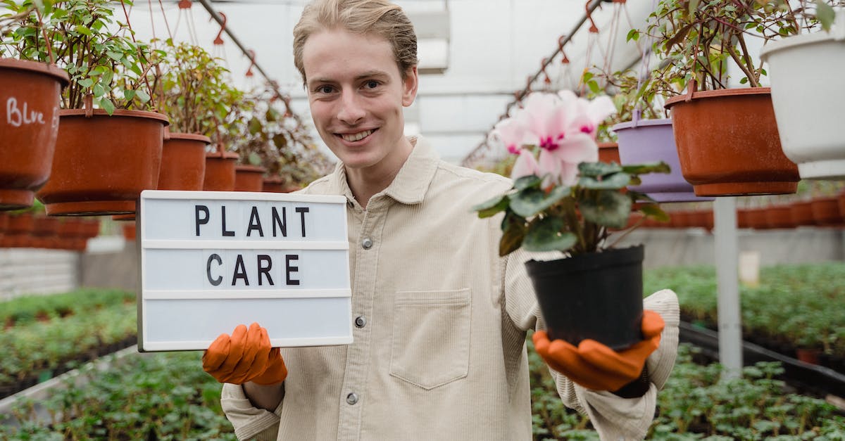 Do potted flowers count towards beehives or just planted ones? - Man Holding a Sign and Potted Flowering Plant Do potted flowers count towards beehives or just planted ones? - Man Holding a Sign and Potted Flowering Plant