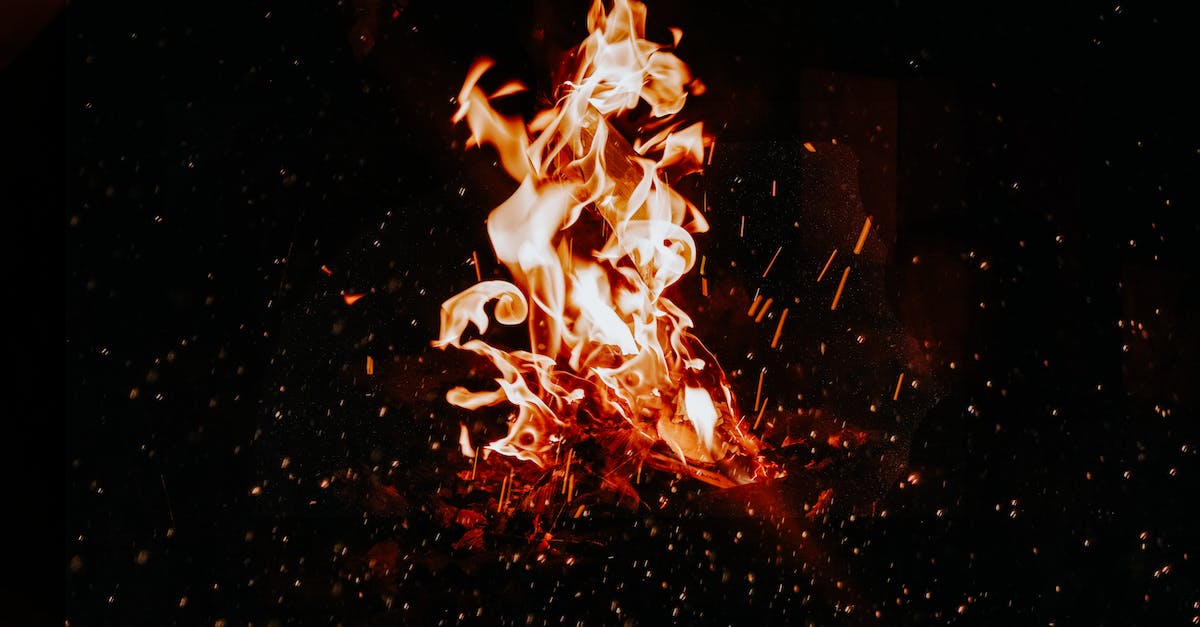 Do Pyros have any fire resistance? - Fire in the Middle of Fire Do Pyros have any fire resistance? - Fire in the Middle of Fire