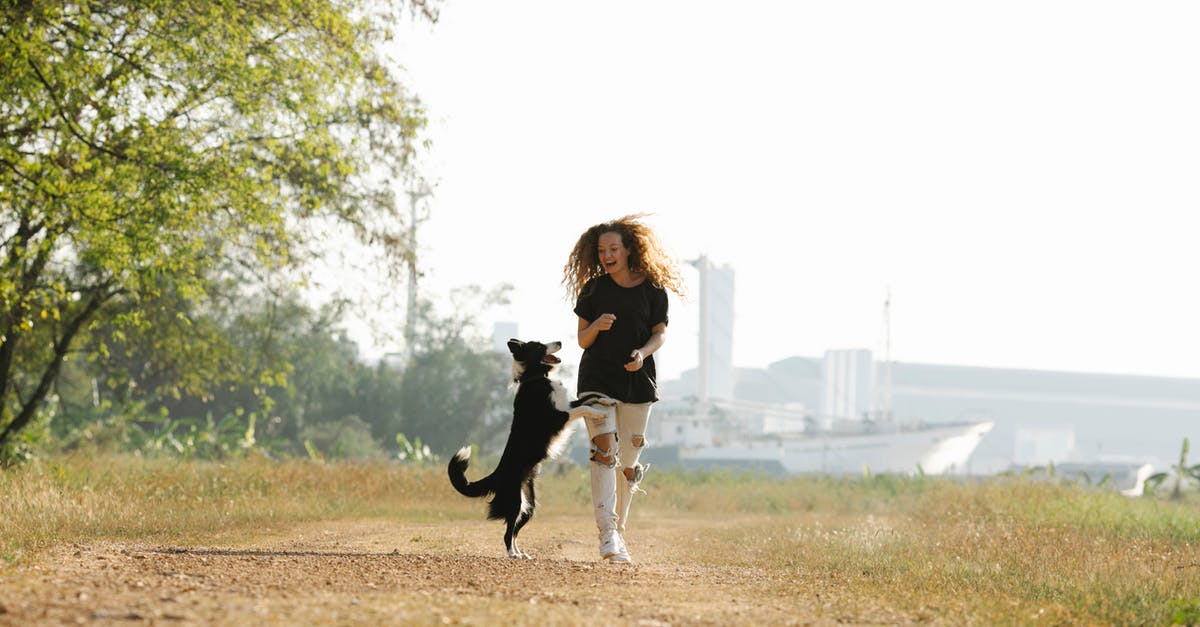 Do "sky" pokeballs have any other use other than catching flying pokemon? - Cheerful female having fun with purebred dog standing on hind legs while looking at each other on pathway against port