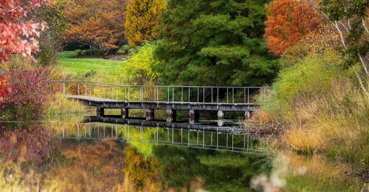 Do satellites over very panicked countries calm them down? - Narrow footbridge crossing calm lake in abundant autumn park
