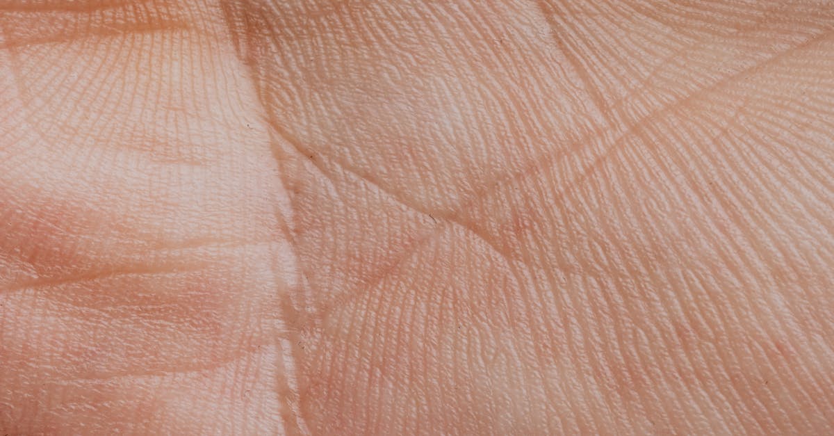 Do the conditions of skins I put in the trade-up-contract affect the condition of the resulting skin? - Extreme Close-up View Of A Human Palm 
