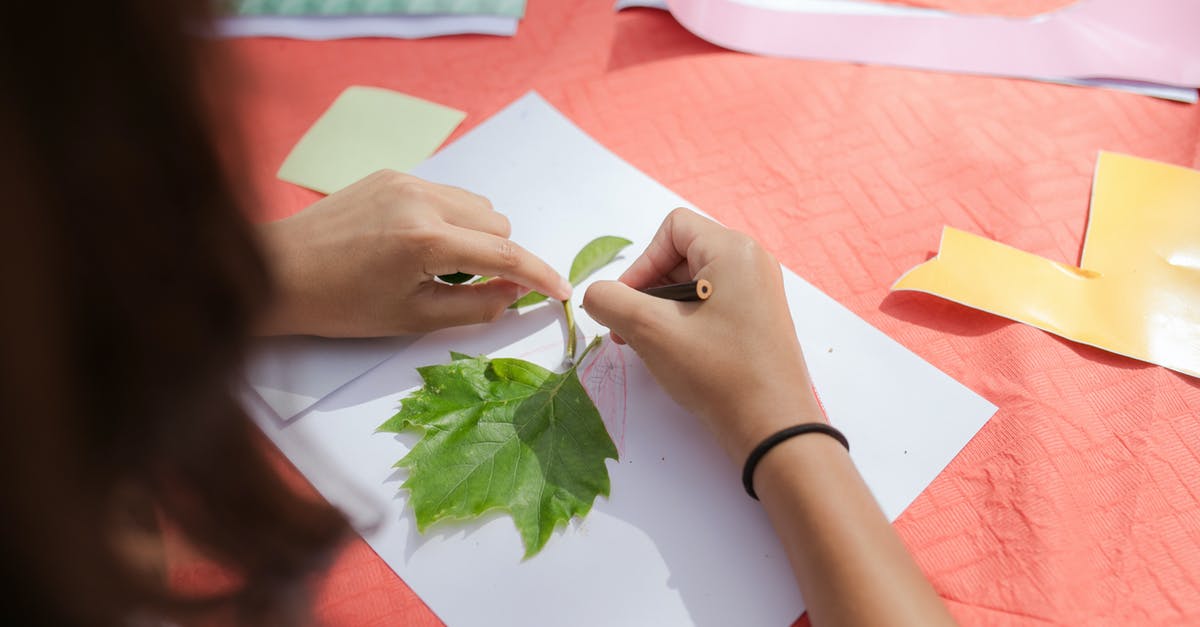 Do the Steam versions of the LucasArts Adventure Games work with ScummVM? - Person Holding Green Leaves on White Paper Do the Steam versions of the LucasArts Adventure Games work with ScummVM? - Person Holding Green Leaves on White Paper