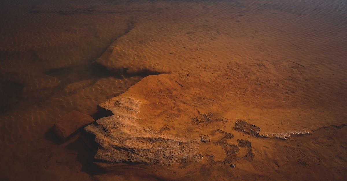 Do the stone soldiers move in a predicable pattern? - Sandy sea floor with stones and formations Do the stone soldiers move in a predicable pattern? - Sandy sea floor with stones and formations