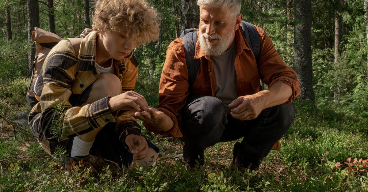 Do the trees heal after taking damage? - Grandfather and Grandson Crouching Down and Picking Blueberries