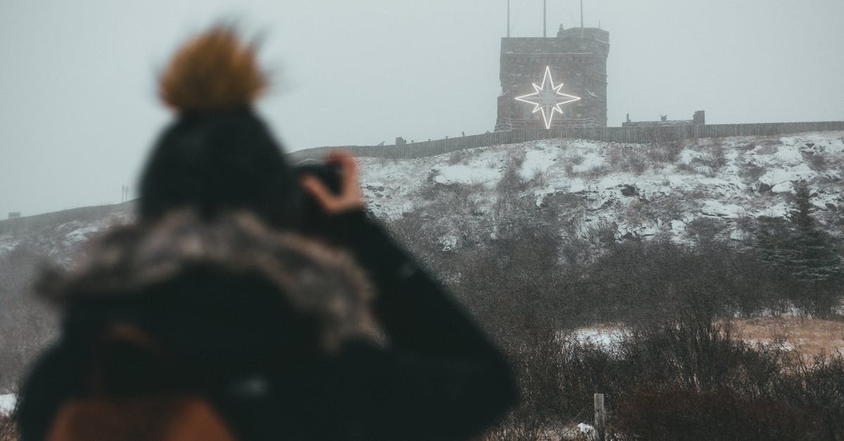 Do the trees heal after taking damage? - Back View of a Person Taking a Photo 