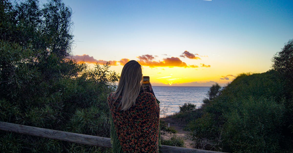 Do the trees heal after taking damage? - A Person with Shawl Taking Picture of the Sunset
