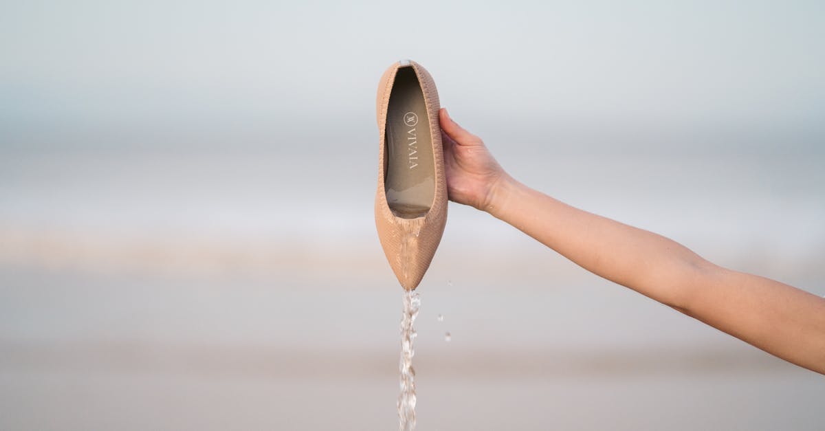Do the Zoombini's names mean anything? - Person Holding a Wet Brown Flat Shoe 