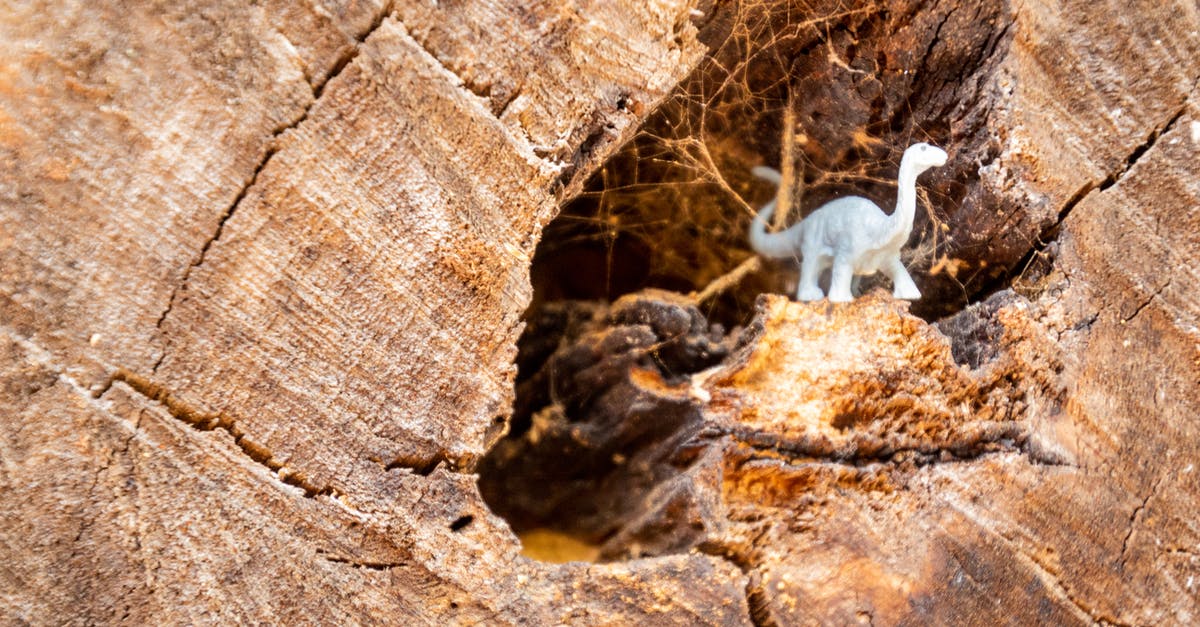 Do tree stumps do anything if you don't cut them down? - White Dinosaur Figurine on Wood Log