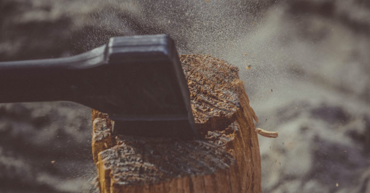Do tree stumps do anything if you don't cut them down? - Black Axe on Wood