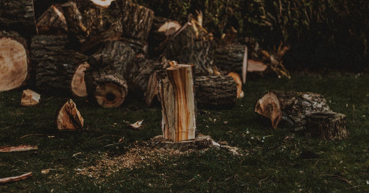 Do tree stumps do anything if you don't cut them down? - Heap of cut wood with dry and rugged bark on lawn with sawdust in daylight